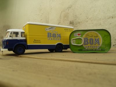 Miniaturas 1:43 Camies nacionais