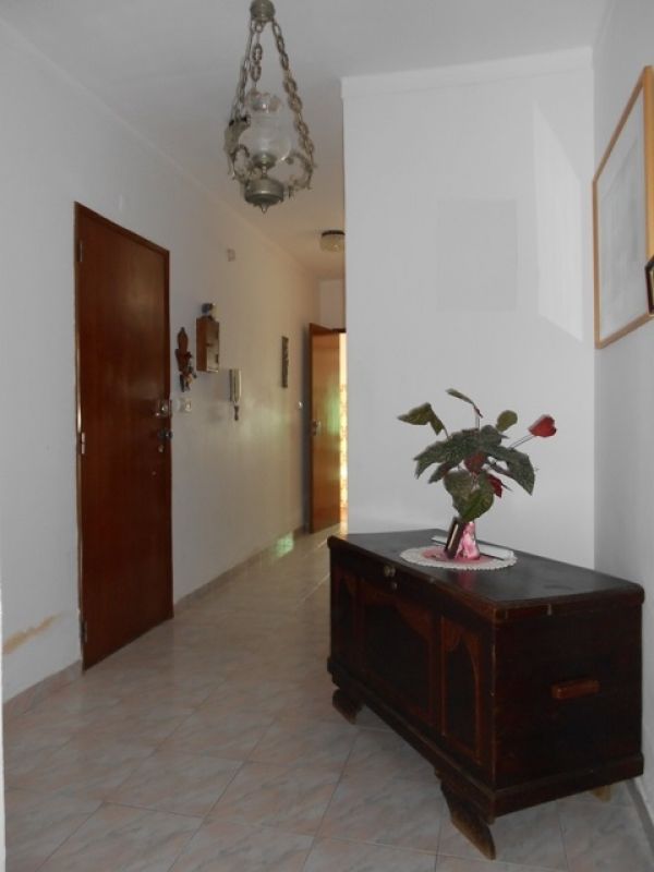 Apartamento T2 rs-do-cho Quintal grande com arrecadao