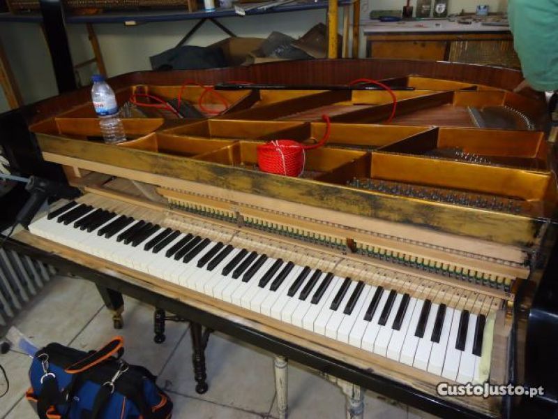 Pianos  Afinador tcnico especialista