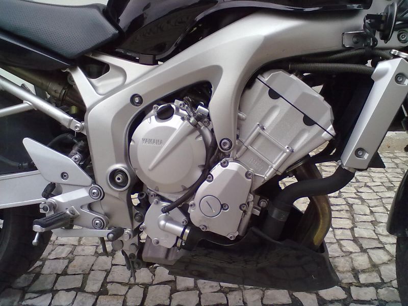 Fz6 n