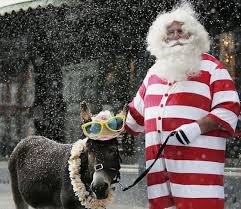 Feliz Natal e um feliz ano novo