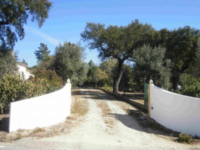 Fantastica Quinta a 70 Km de Lisboa