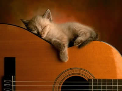 Dueto musical para festas e afins