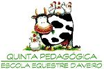 Quinta Pedaggica