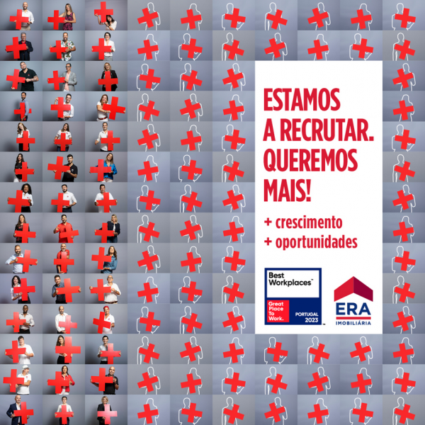 Diretor Comercial  Experincia Gesto de Equipas!