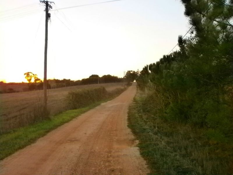 Monte no Cercal com Viabilidade