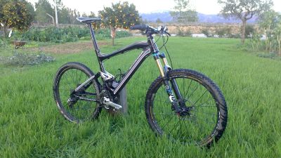 Suspenso FOX talas