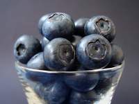 MIRTIBRICA  Plantas de Frutos Silvestres, Estufas Agrcolas/Garden Centers, Sistemas de Rega.